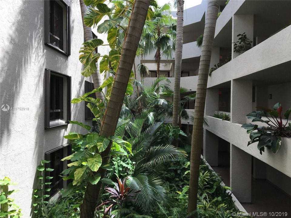 View from hallway outside unit