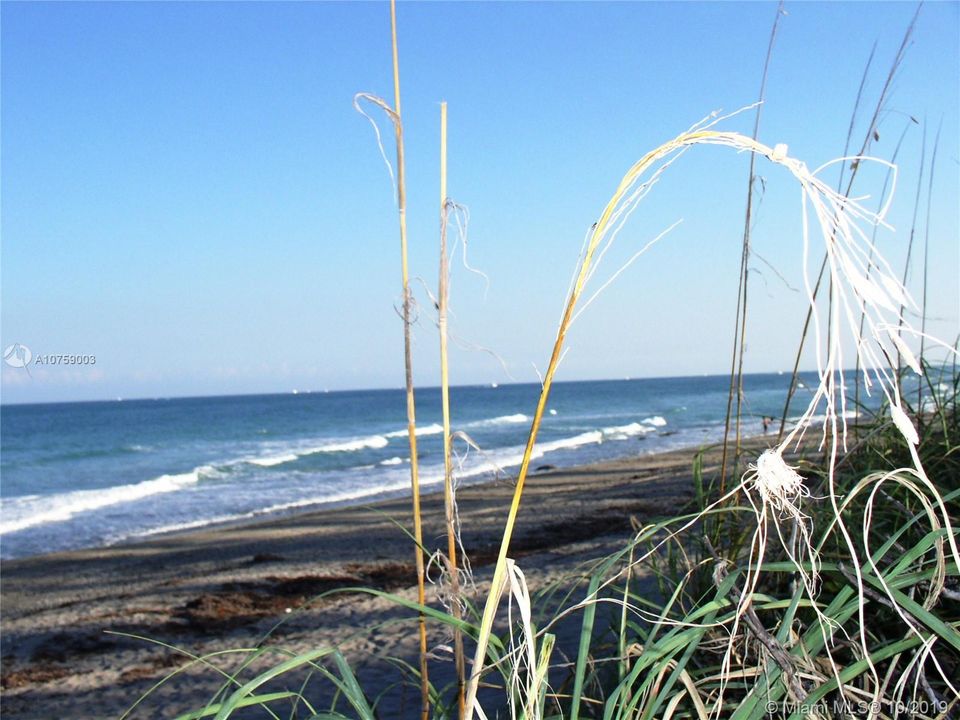 Vendido Recientemente: $1,450,000 (3 camas, 3 baños, 2732 Pies cuadrados)