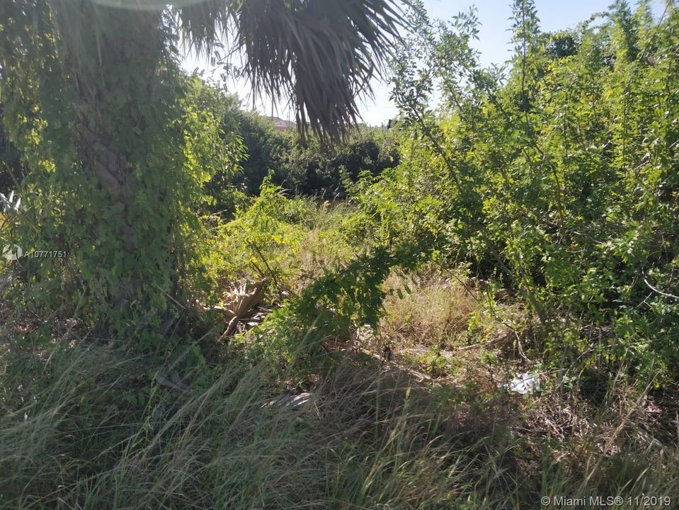 Recently Sold: $13,000 (0.25 acres)