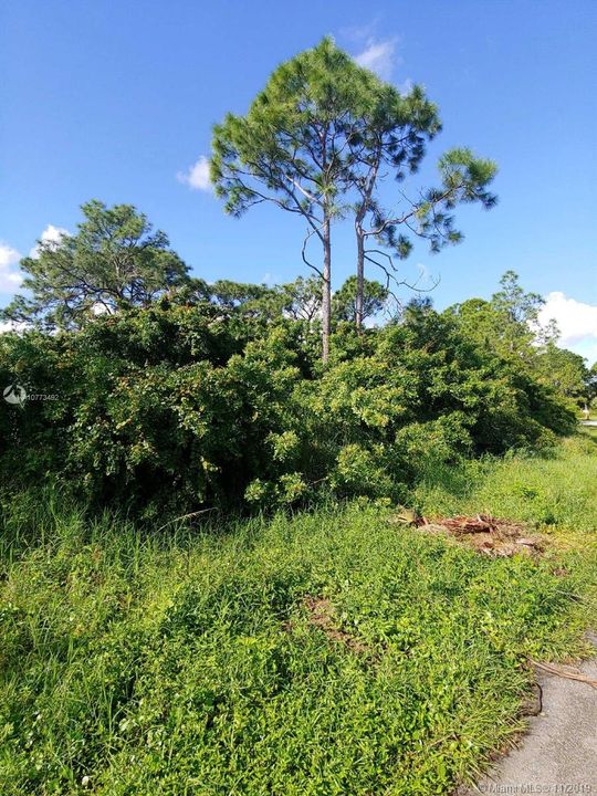 Vendido Recientemente: $39,900 (0.24 acres)