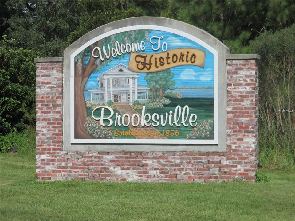WOODED LOT LOCATED CLOSE TO DOWNTOWN CHARMING AND HISTORIC BROOKSVILLE!