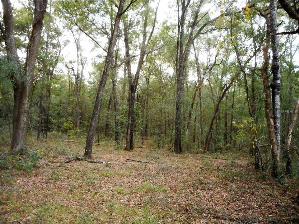 Recently Sold: $51,900 (2.20 acres)