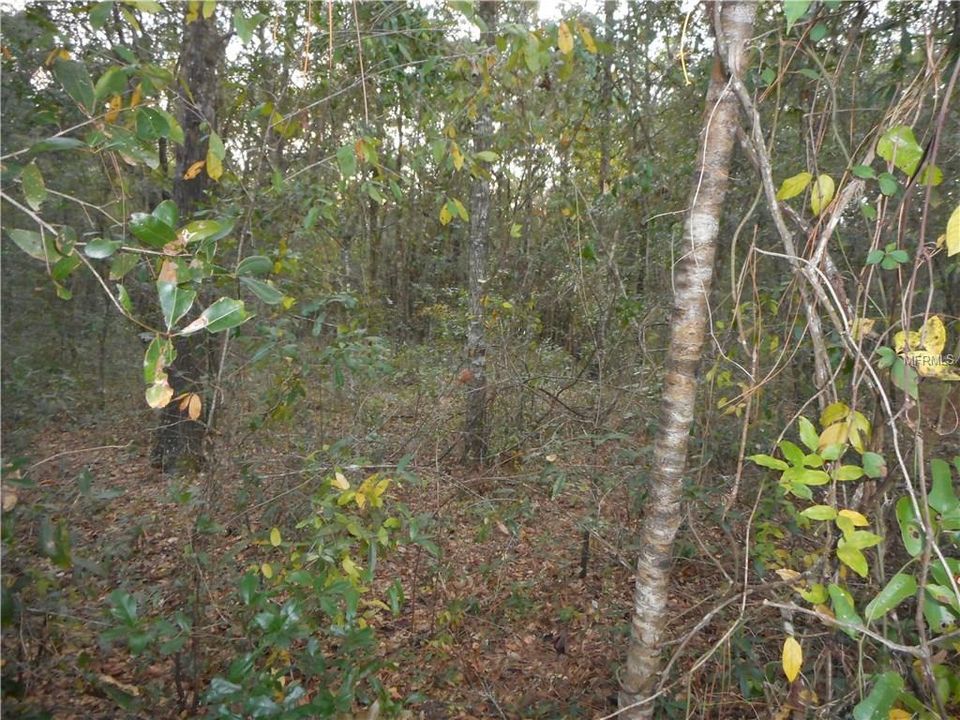 Vendido Recientemente: $51,900 (2.20 acres)