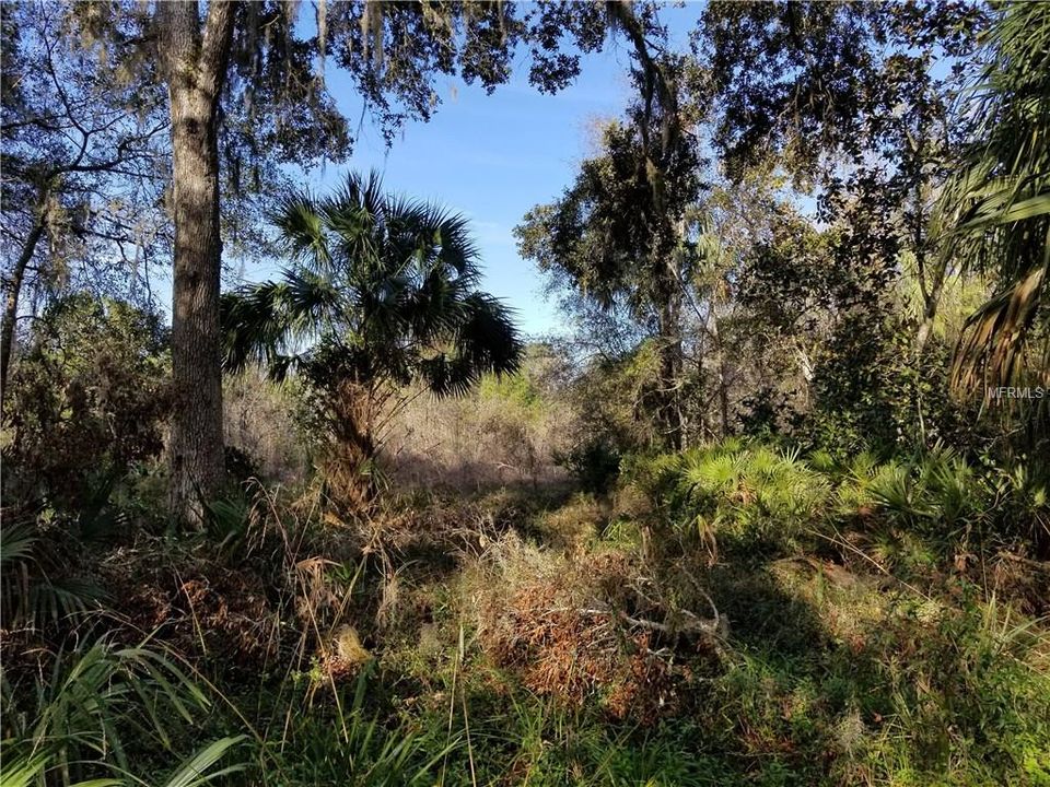 Recently Sold: $79,900 (5.01 acres)