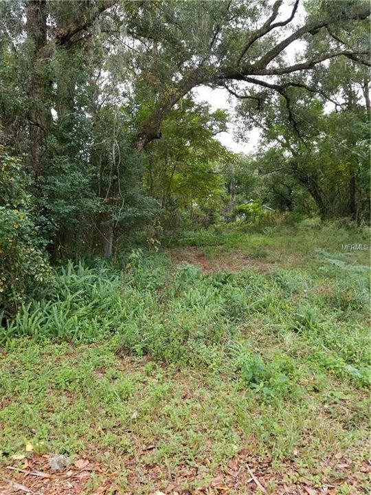 En Venta: $69,000 (0.16 acres)