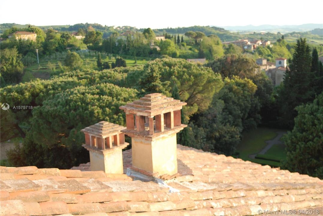 A view of the rooftop and chimneys ...  cypress and pines ...  Tuscany  "Le tegole"