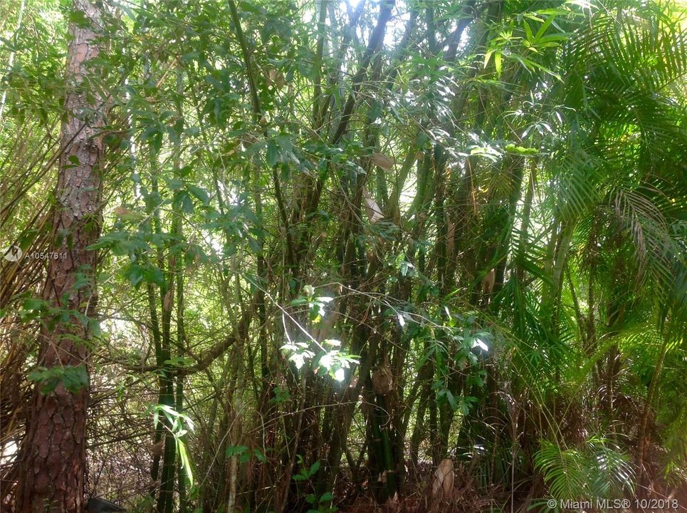 最近售出: $159,900 (1.15 acres)