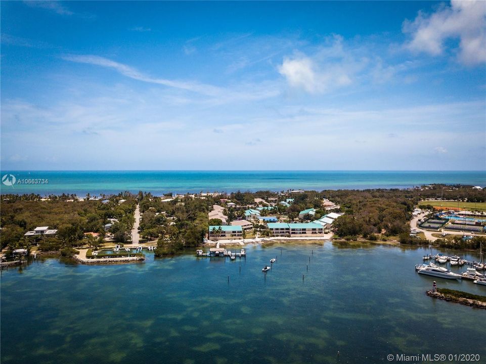 Aerial view of community from the water.
