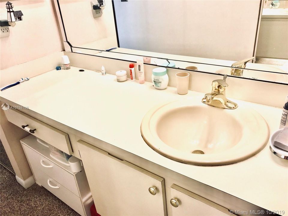 MASTER  BATHROOM  SINK