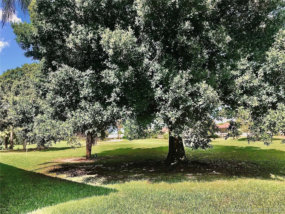 VIEWS OF TREES OUTSIDE THE SCREENED COVERED PORCH