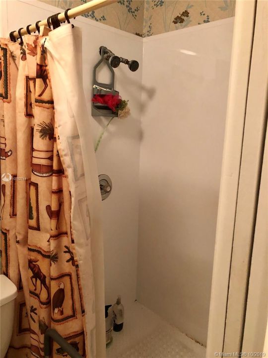 Master bathroom w/spa-shower