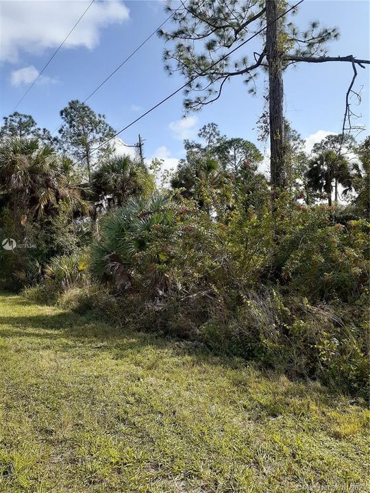 Residential wooded Lot