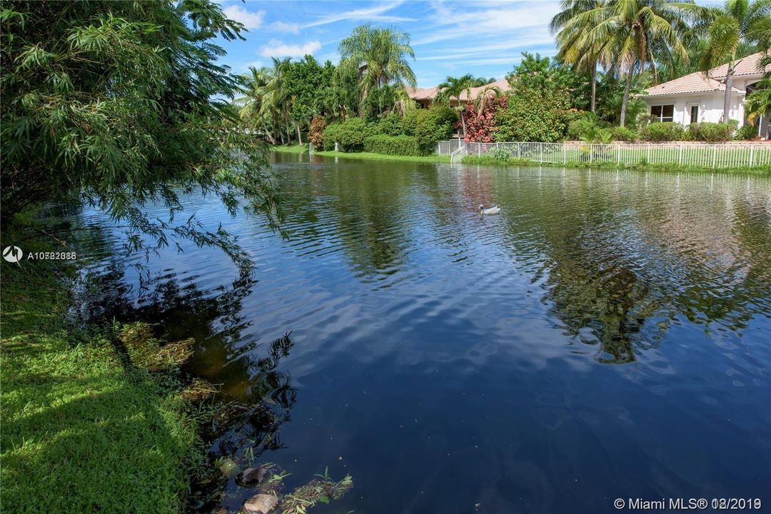 Recently Rented: $5,990 (5 beds, 3 baths, 3064 Square Feet)