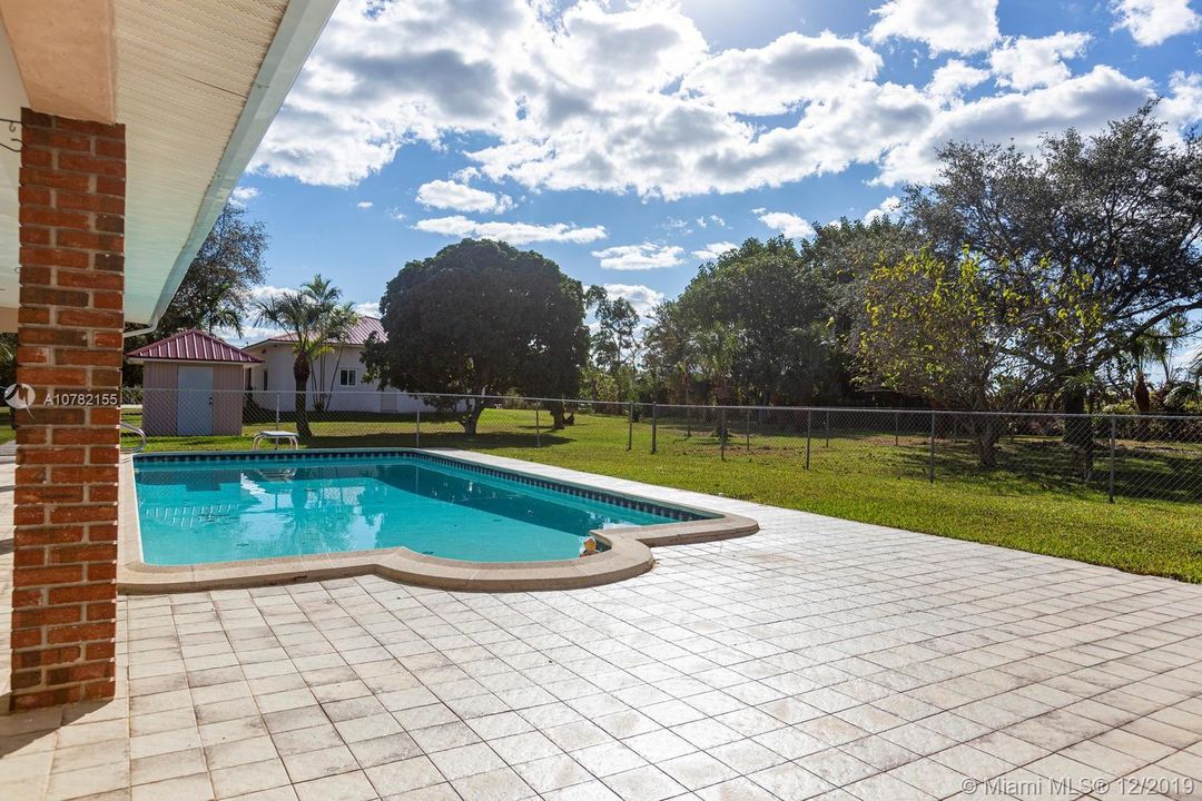 Beautiful pool with diveboard