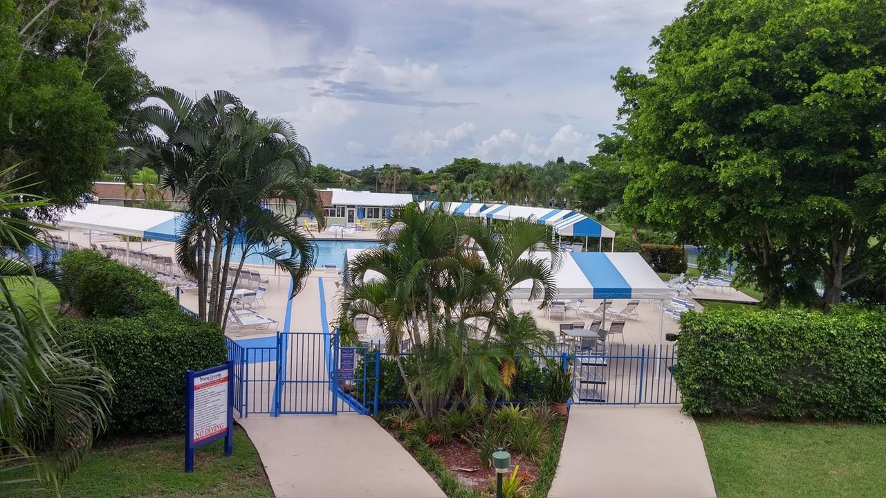 POOL AREA (2)