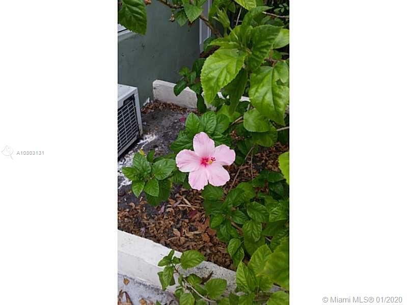 Recently Rented: $800 (1 beds, 1 baths, 0 Square Feet)