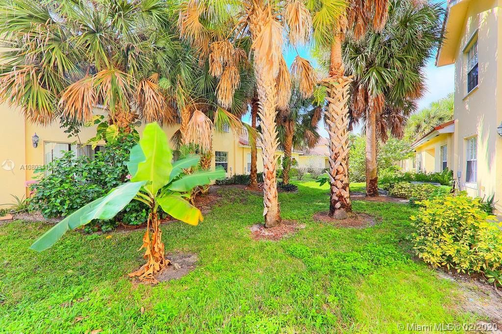 Garden View from Patio