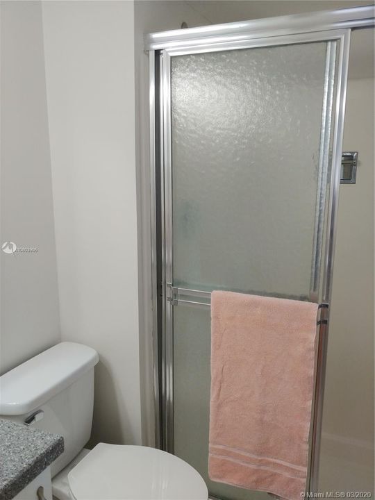 Master bathroom shower.