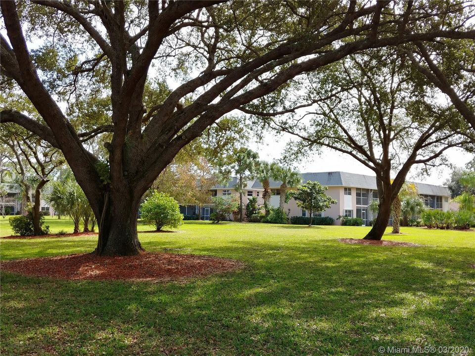 Lots of nature and large green common areas.