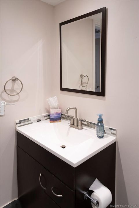 Down Stairs bathroom
