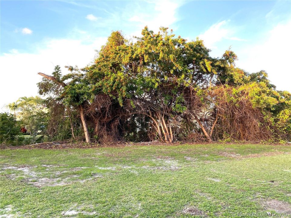 Vendido Recientemente: $410,000 (3 camas, 2 baños, 1721 Pies cuadrados)