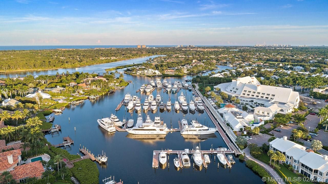 Clubhouse & Marina Aerial