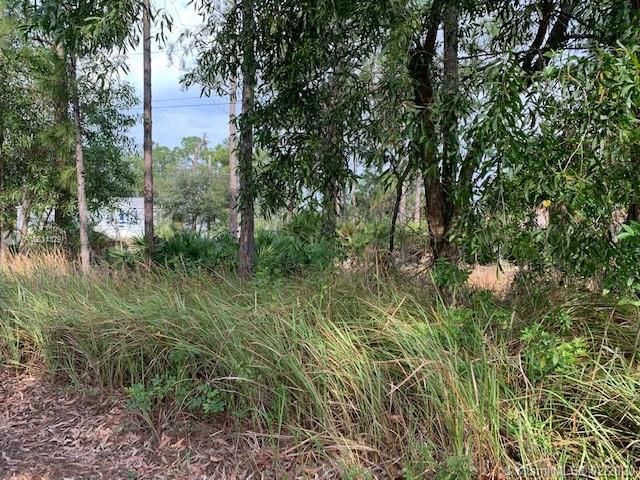 Vendido Recientemente: $12,400 (1.25 acres)