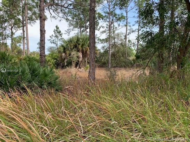 Vendido Recientemente: $12,400 (1.25 acres)
