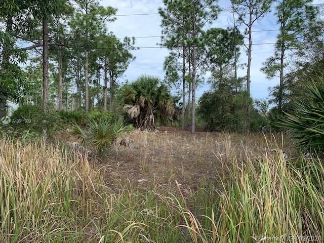 Vendido Recientemente: $12,400 (1.25 acres)