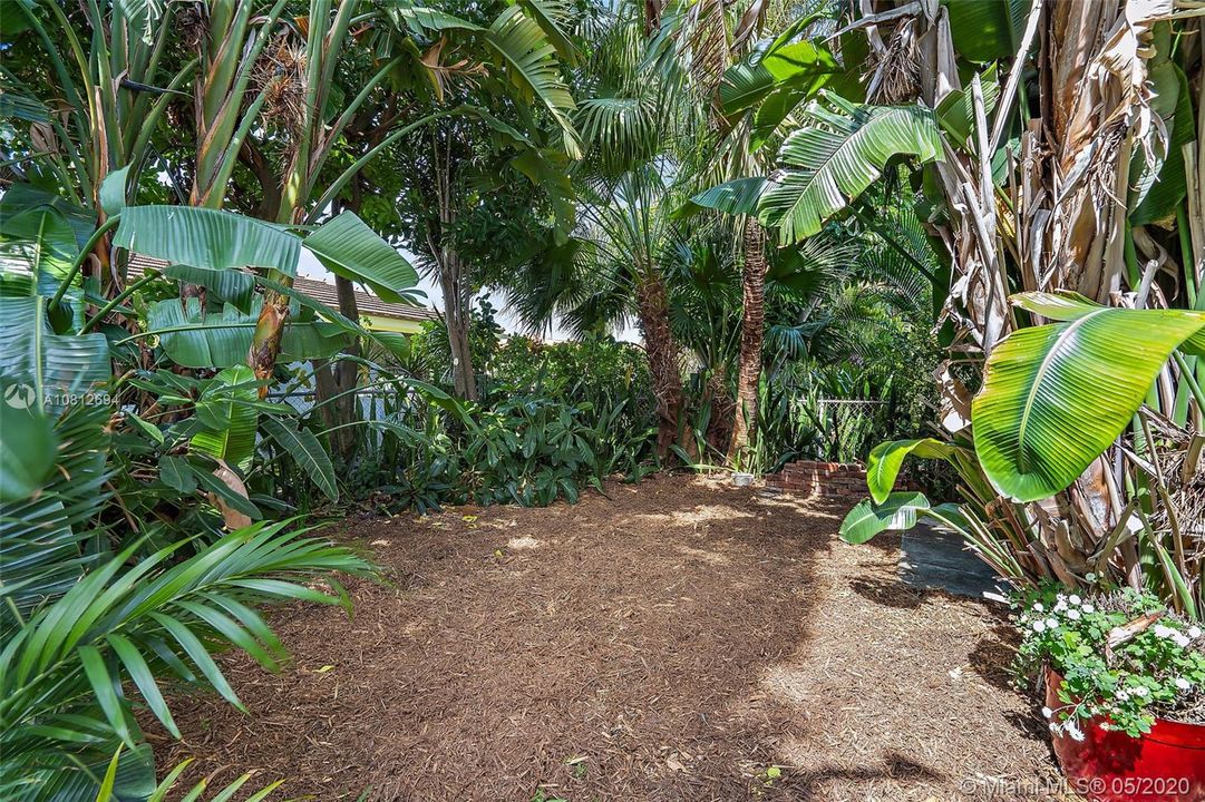 Backyard