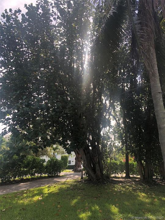 Недавно арендовано: $1,700 (2 спален, 2 ванн, 4734 Квадратных фут)