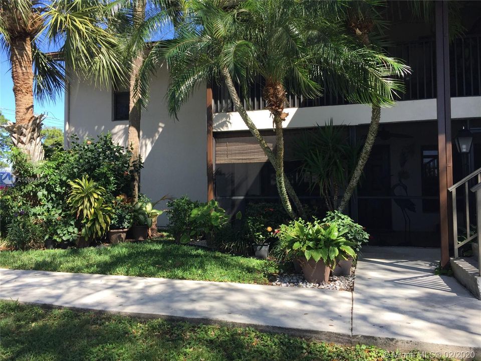 Tropical View as you enter the home