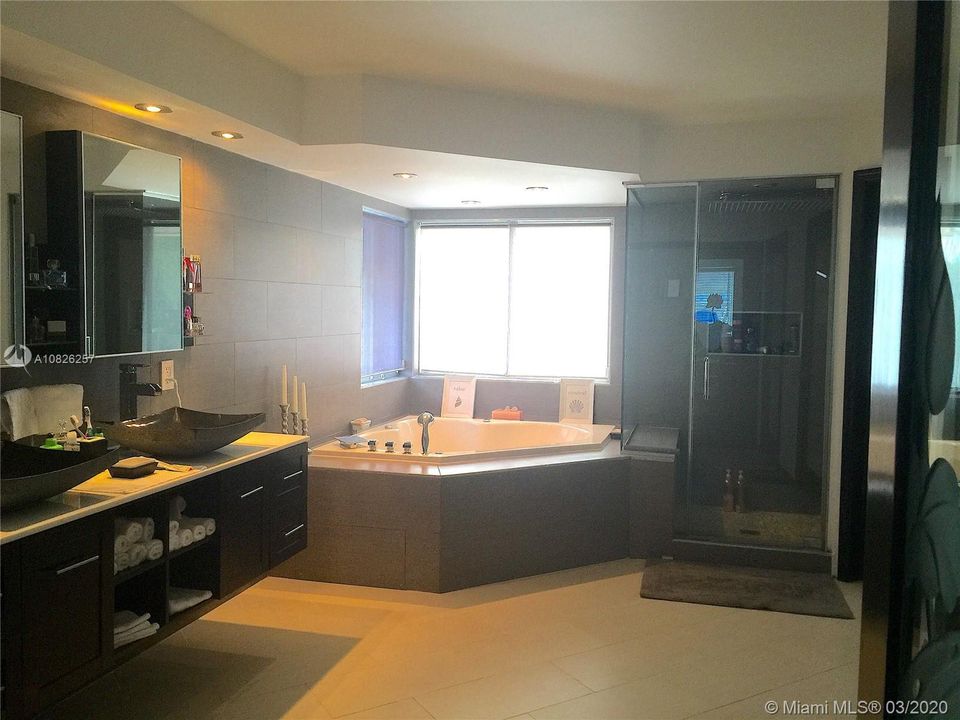 MASTER BATHROOM WITH JACUZZI TUB AND STEAM SHOWER