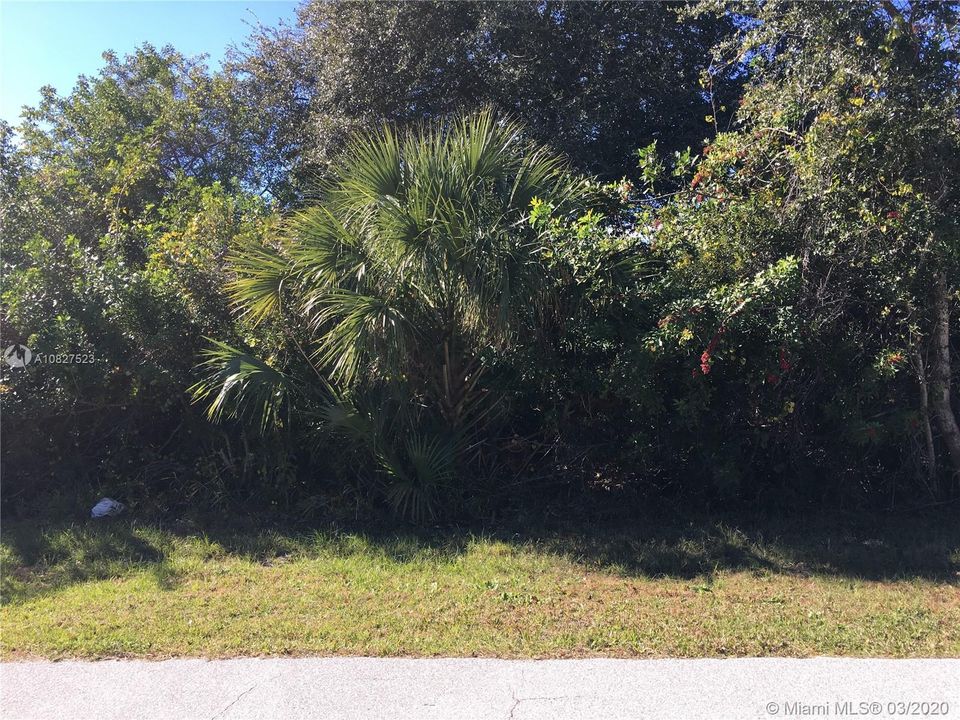 Recently Sold: $9,000 (0.25 acres)