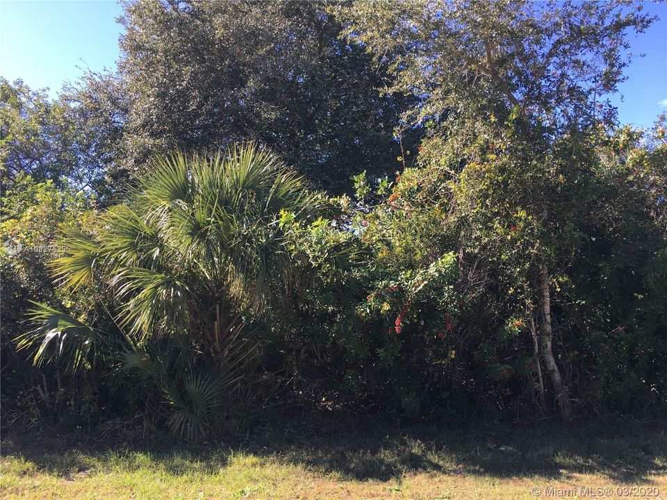 Recently Sold: $9,000 (0.25 acres)