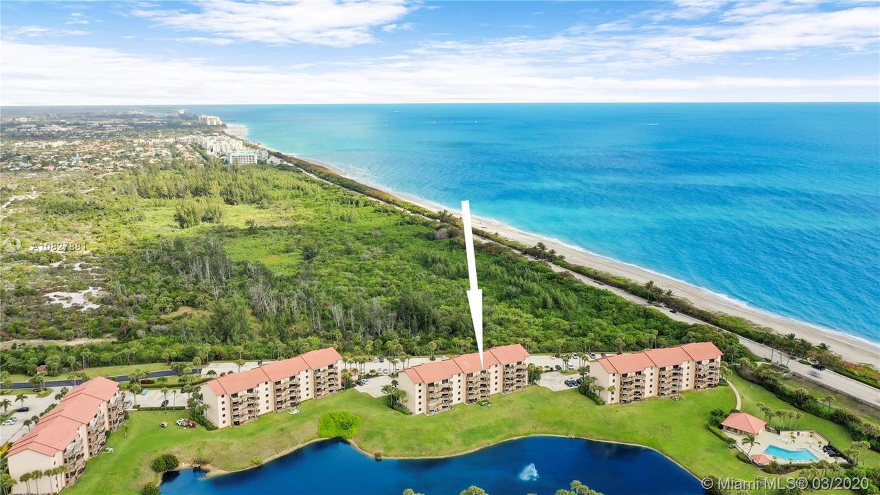 Direct Preserve & Ocean Views!