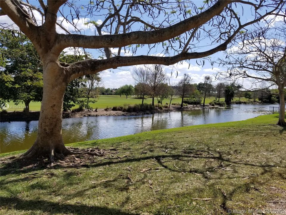 Recientemente alquilado: $1,300 (1 camas, 1 baños, 743 Pies cuadrados)