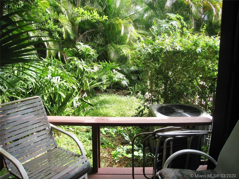 View from open porch to backyard