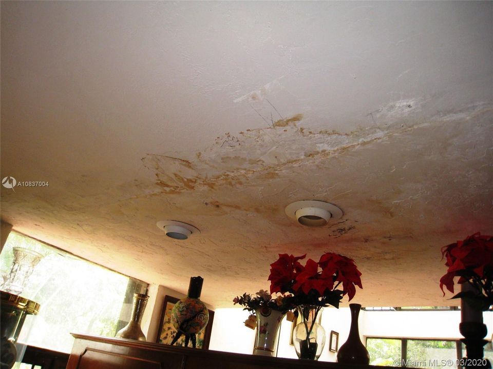 Active leak from roof