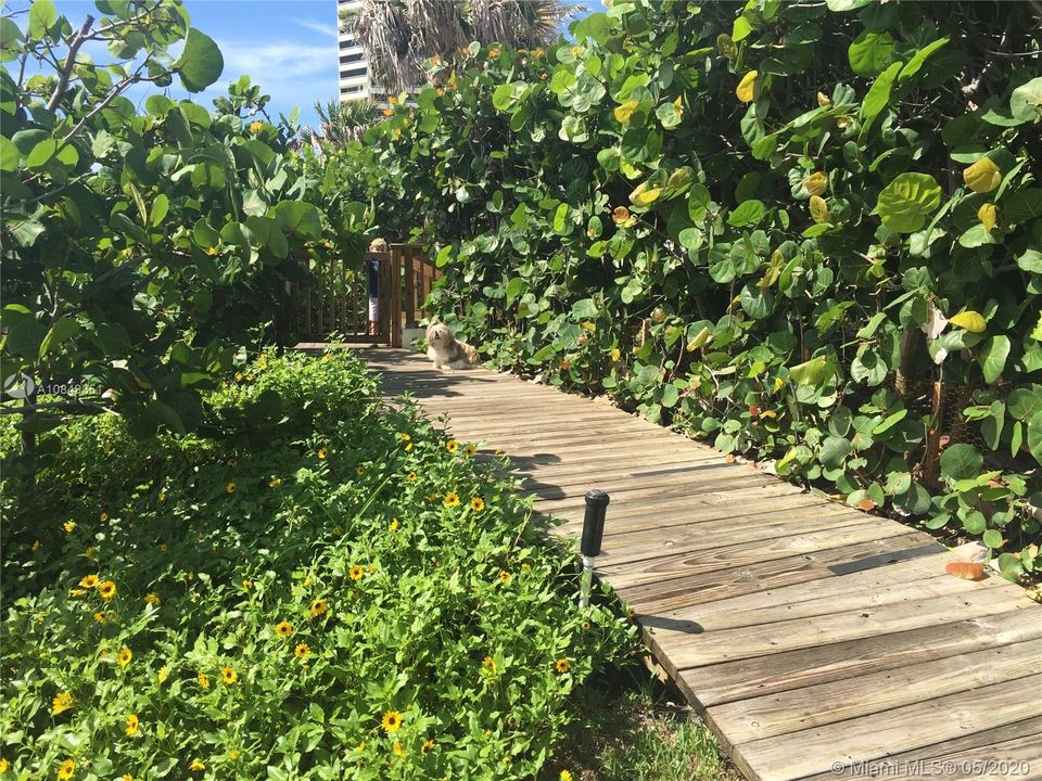 Recently Sold: $775,000 (2 beds, 2 baths, 1804 Square Feet)