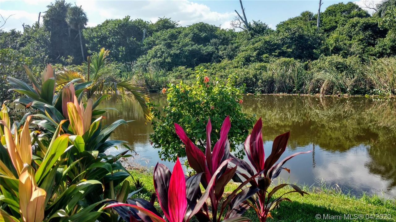 Recientemente alquilado: $25,000 (4 camas, 3 baños, 3019 Pies cuadrados)