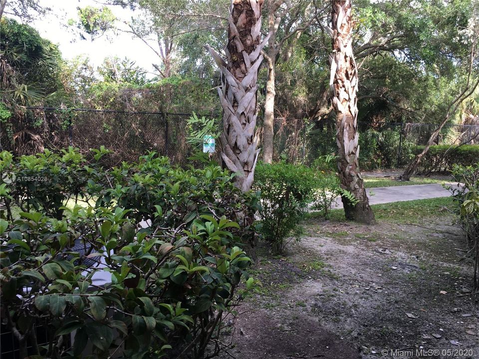 Patio view