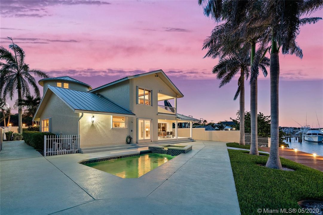 Pool / Back Yard