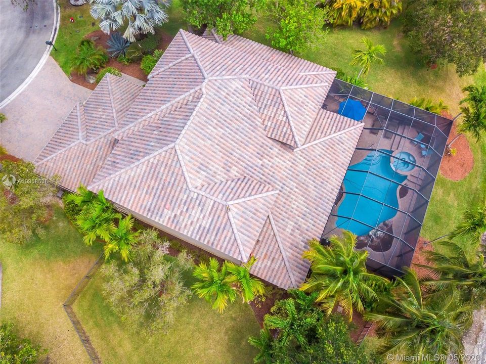 Ariel View