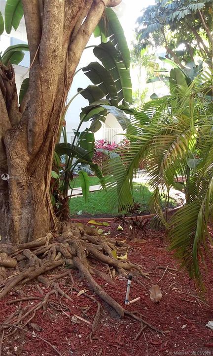 Recently Rented: $1,270 (1 beds, 1 baths, 620 Square Feet)