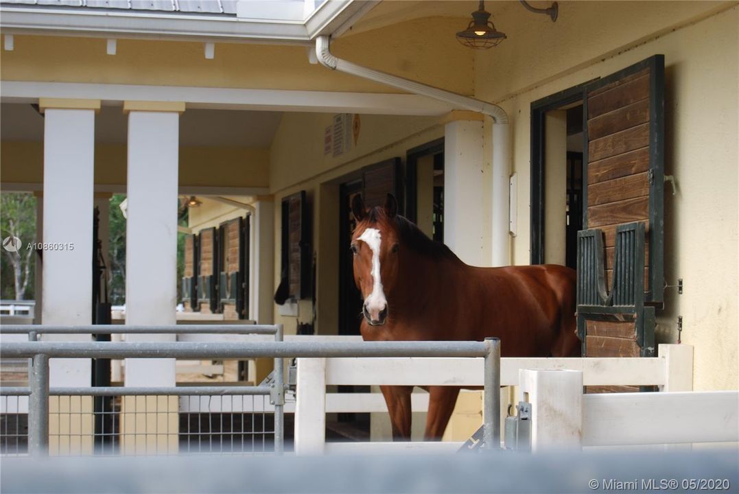 Vendido Recientemente: $2,950,000 (5 camas, 5 baños, 7434 Pies cuadrados)