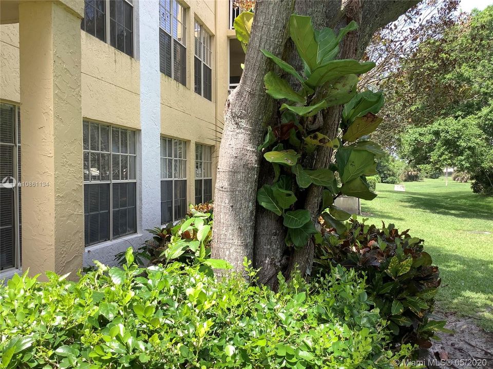 Vendido Recientemente: $144,900 (1 camas, 1 baños, 700 Pies cuadrados)