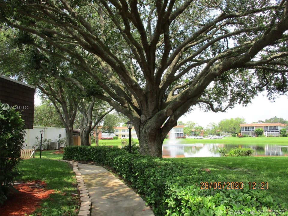 Walking path