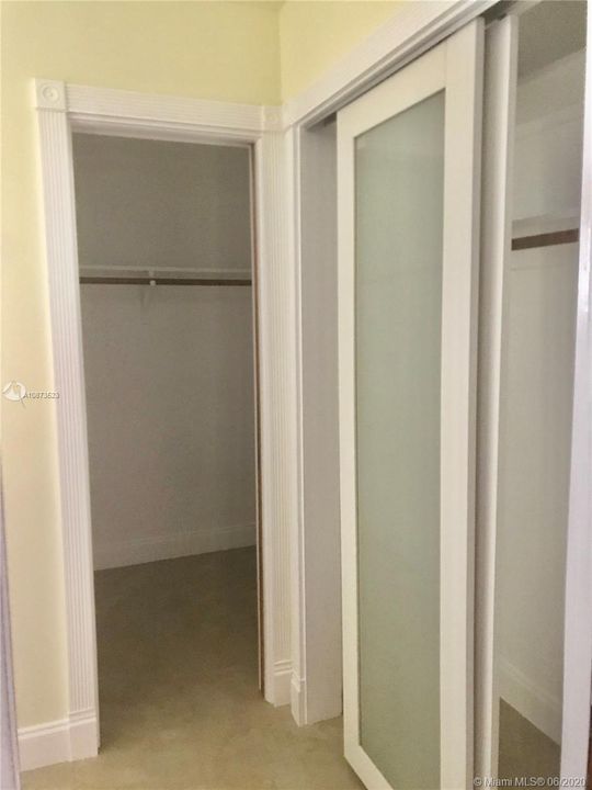 Master Bedroom Walk In Closet and second closet.