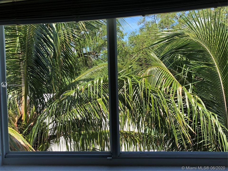 View from Bedroom